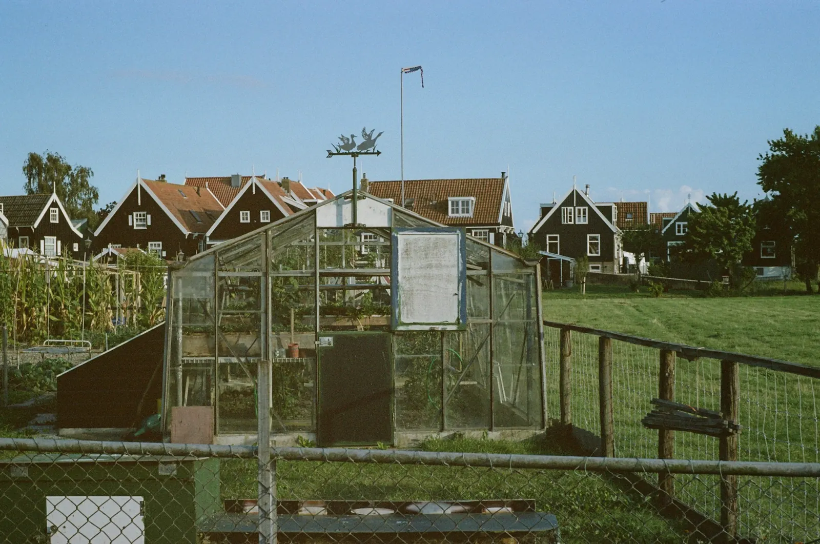 A glass greenhouse and vegetable plots on a shared patch of grass, with a row of dark timber houses with red tiled roofs behind