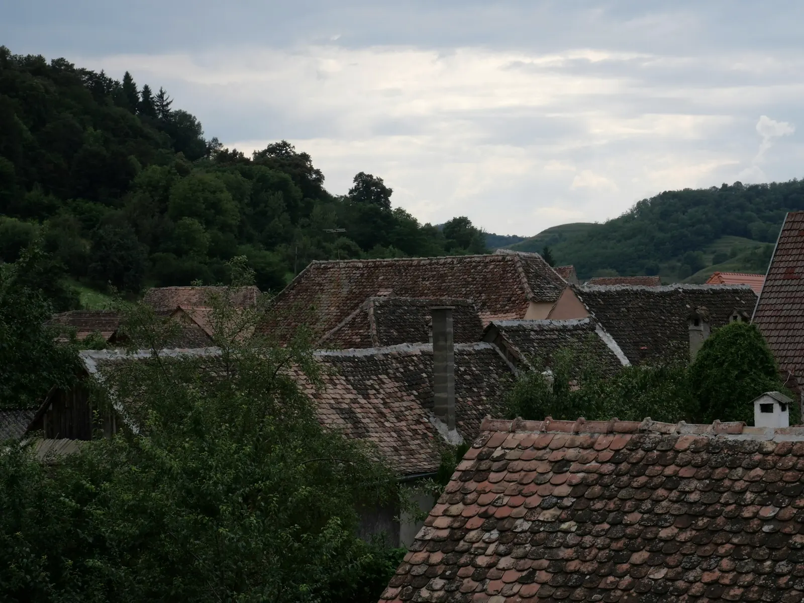 Old clay-tiled roofs of a cluster of village houses among trees, with wooded hills and a grey sky beyond